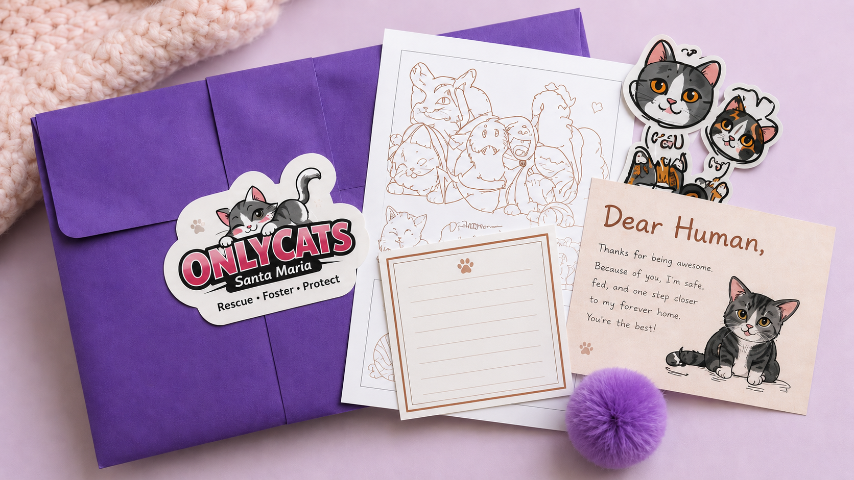 OnlyCats monthly mailer package