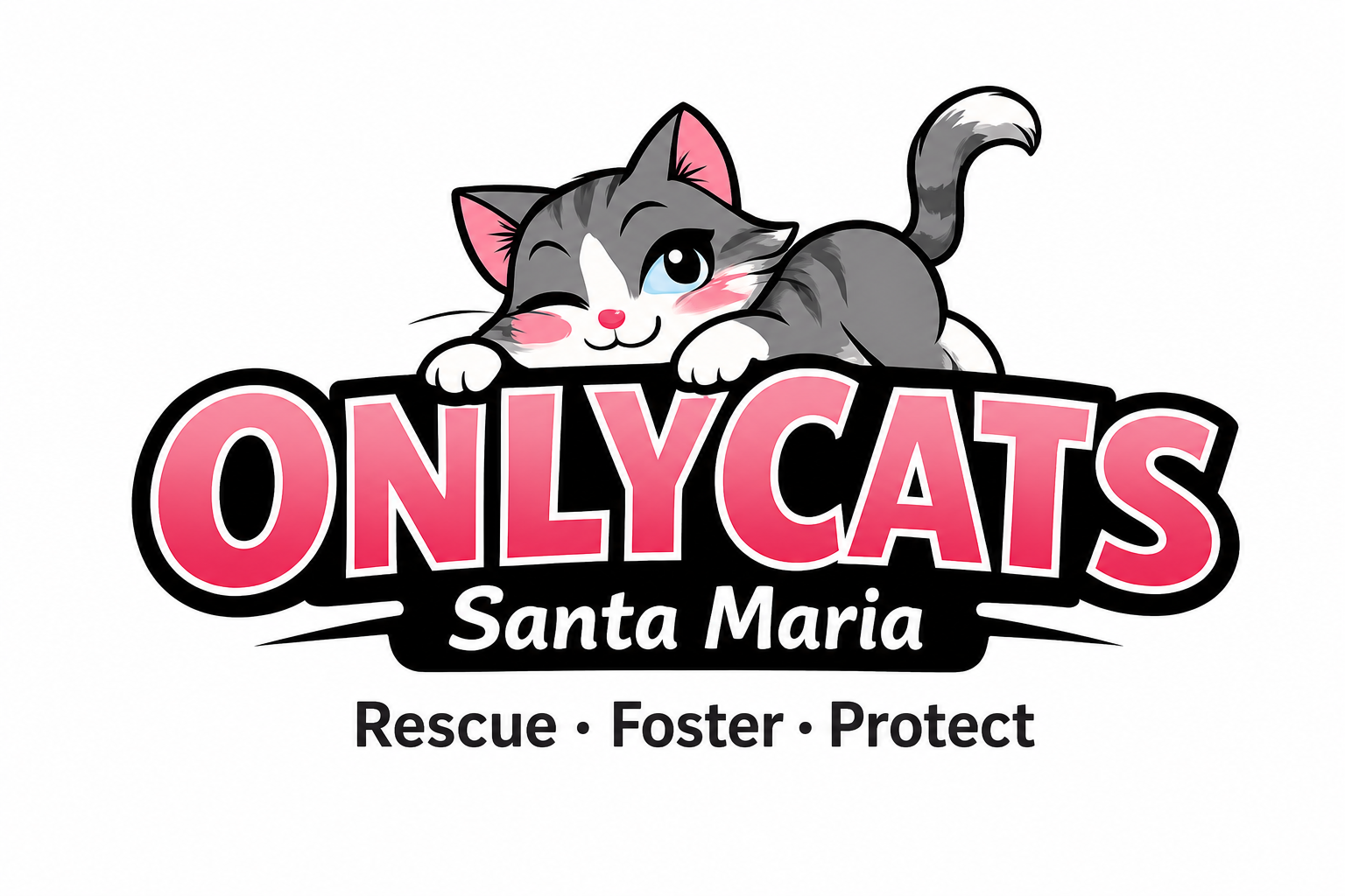 OnlyCats Santa Maria — Rescue Foster Protect