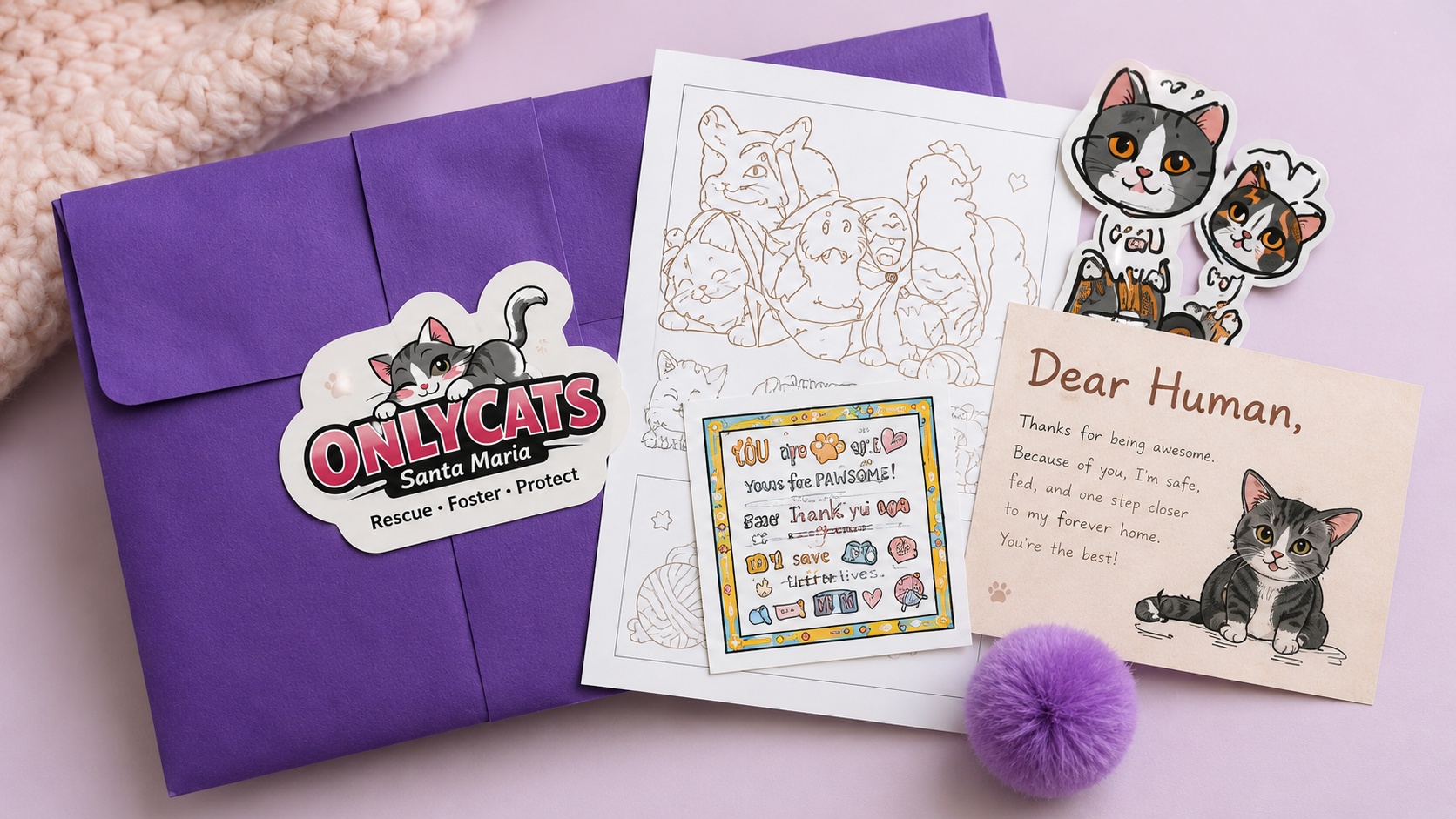 OnlyCats monthly mailer package